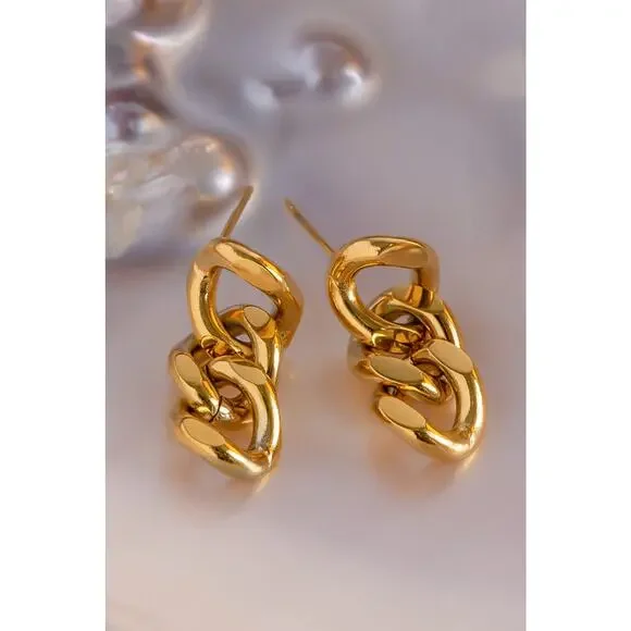 Stainless Steel Chain Earrings - Picture 3 of 5